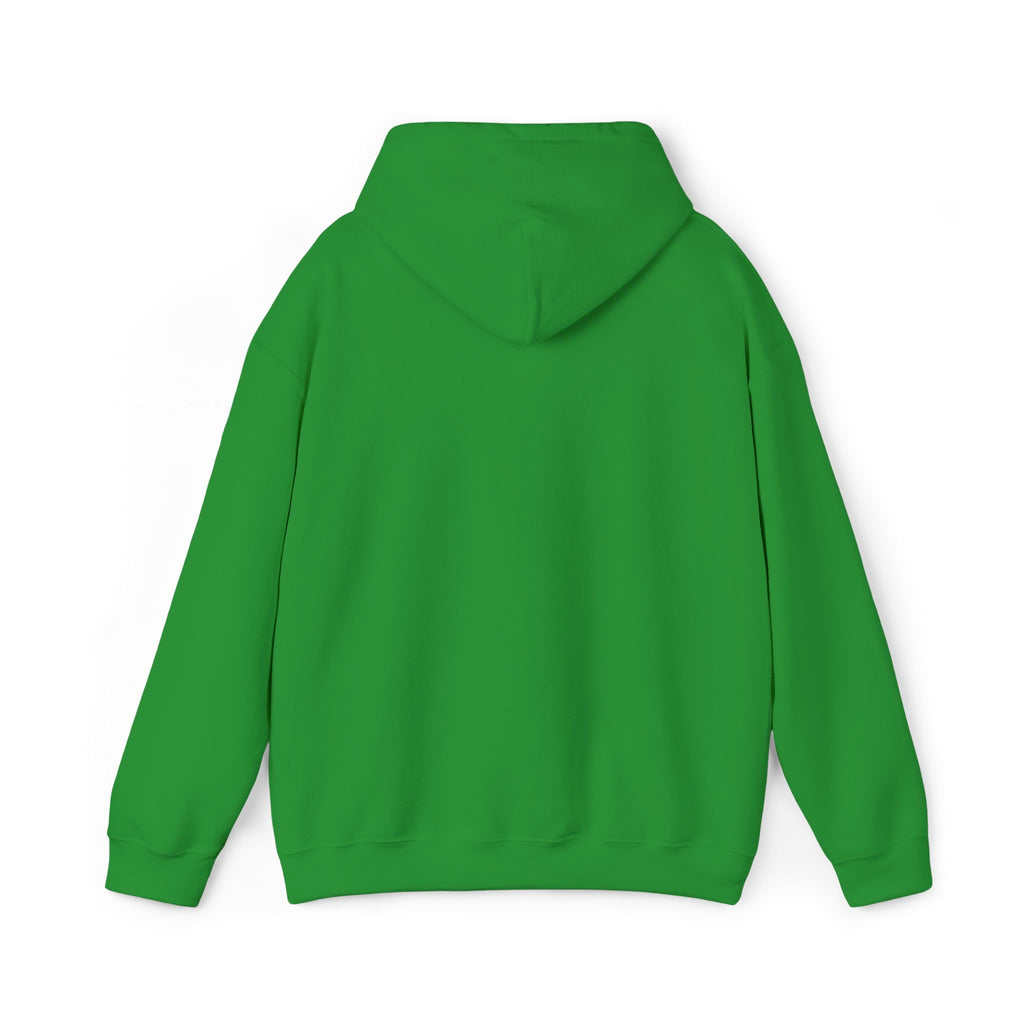 Mountain Triptych Hoodie — Minimalist Scenic Graphic Pullover Embroidered