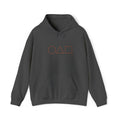 Unisex Heavy Blend™ Hooded Sweatshirt Embroidered