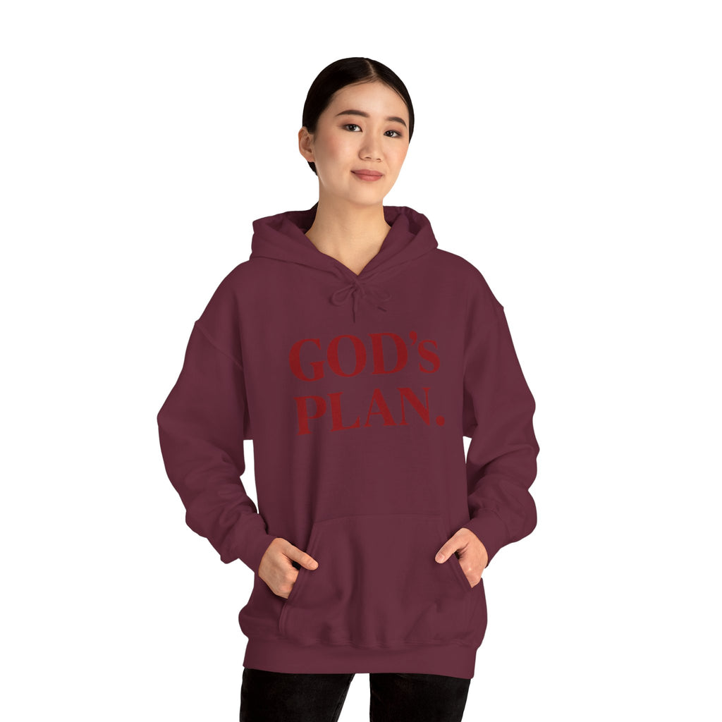 God's Plan Hoodie — Faith-Inspired White Pullover