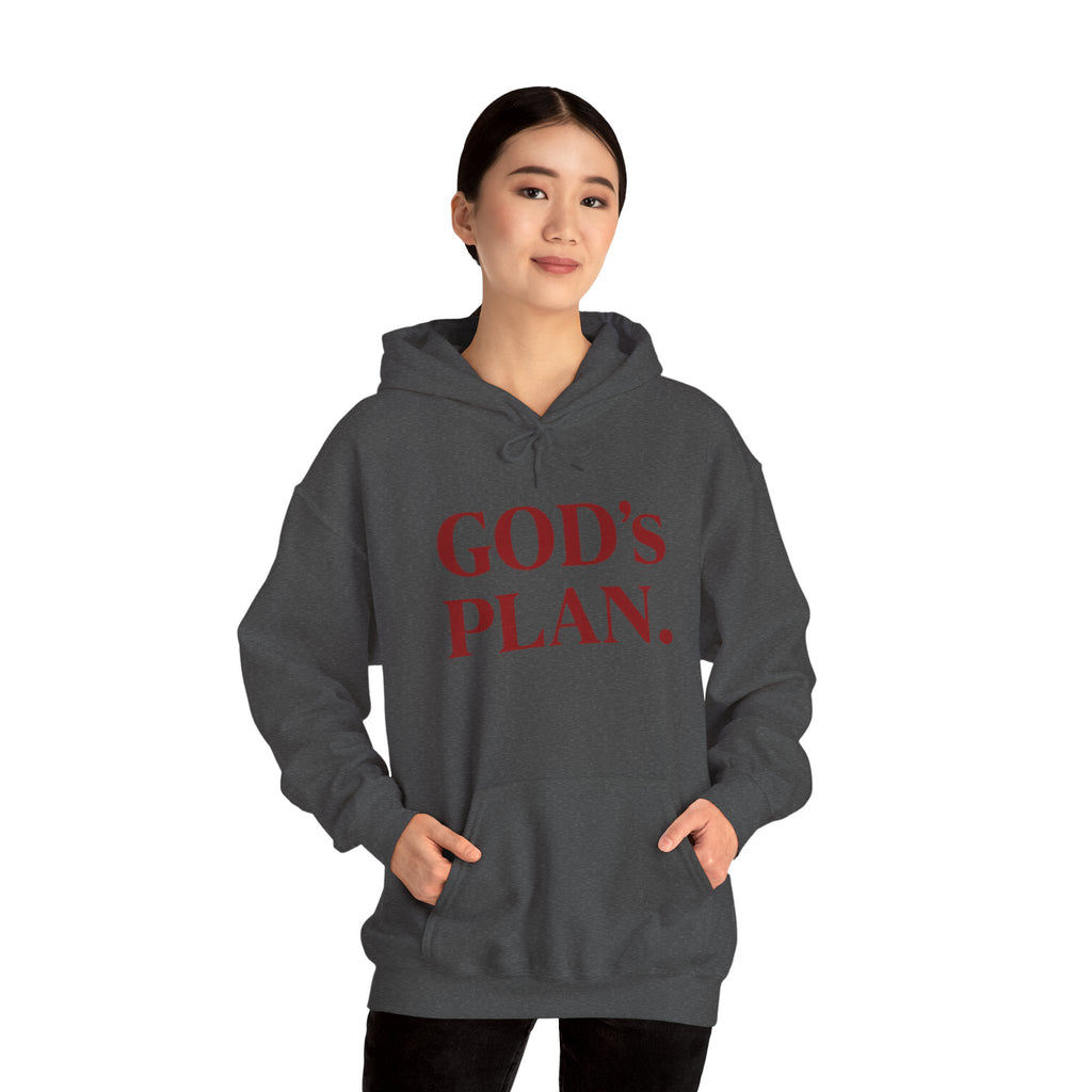 God's Plan Hoodie — Faith-Inspired White Pullover