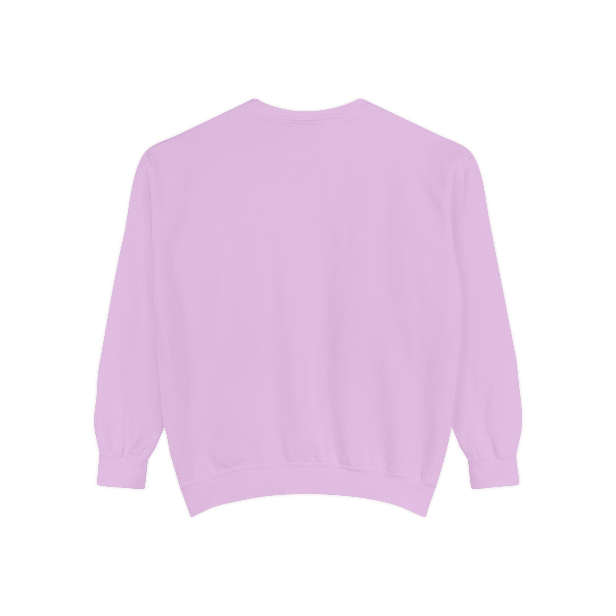 Let Me Distract You Sweatshirt — Colorful Retro Graphic Crewneck