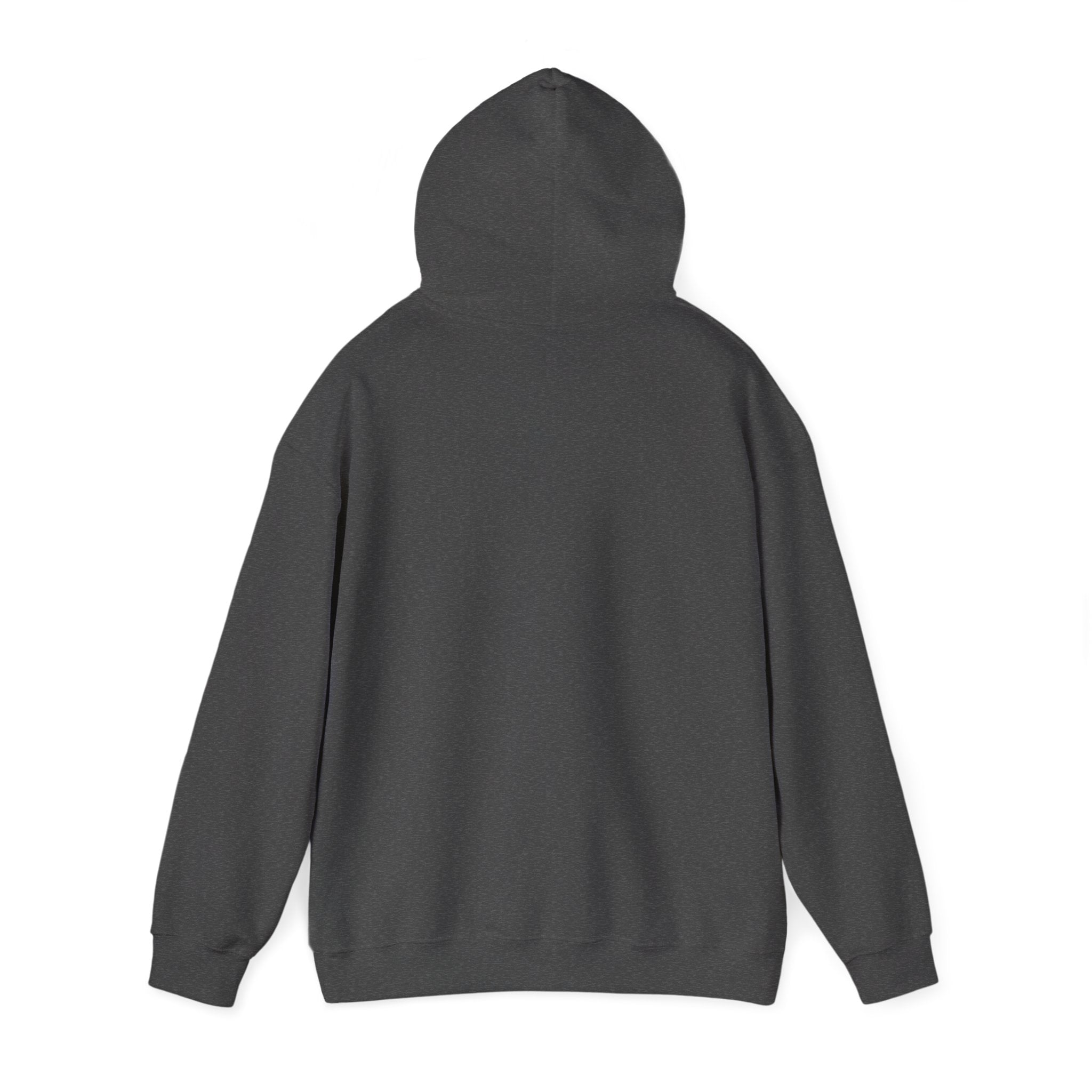 Anime Sunglasses Hoodie — モンキー・D・ルフィ Trackable Goggles Design